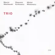 CD - Marcin Wasilewski / S?awomir Kurkiewicz / Micha? Mi?kiewicz : Simple Acoustic Trio - Trio