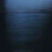 Roel Meelkop - Pierdrie