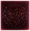 12inch Vinyl Single - Marco Passarani - Colliding Stars Pt.1