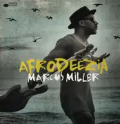 Double LP - Marcus Miller - Afrodeezia - Original Press on Blue Note