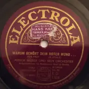 Marek Weber und sein Orchester