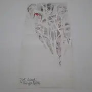 Double LP - Margot & The Nuclear So And So's - Not Animal - Original US Press on Epic, Poster included