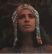 Maria Bethia - Pássaro Proibido