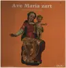 LP - Marianische Kirchenmusik - Ave Maria zart