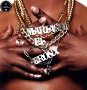 mariachi el bronx - Mariachi El Bronx (II)