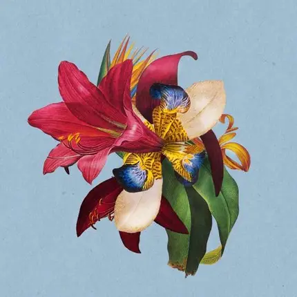 Maribou State - Feel Good (feat. Khruangbin)