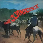 Marimba Diria - Viva Guanacaste