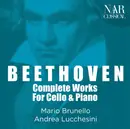 Double CD - Mario Brunello , Andrea Lucchesini , Ludwig van Beethoven - Complete Works For Cello & Piano