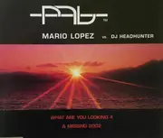 CD Single - Mario Lopez vs. DJ Headhunter - What Are U Looking 4 & Missing 2002