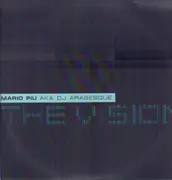 12inch Vinyl Single - Mario Piú AKA DJ Arabesque - The Vision