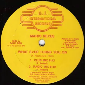 Mario Reyes - What Ever Turns You On