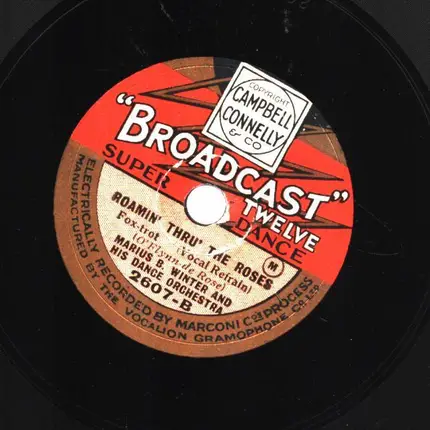 Marius B. Winter & His Dance Orchestra - Sunny Days / Roamin' Thru' The Roses