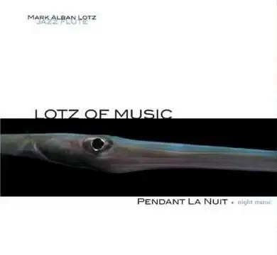 Mark Alban Lotz , Lotz Of Music - Pendant la Nuit