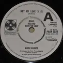 7inch Vinyl Single - Mark Radice - Hey, My Love - rare promo