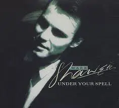 Mark Shaw - Under Your Spell