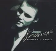 Mark Shaw - Under Your Spell