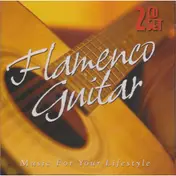 Mark Taylor - Flamenco Guitar