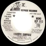 Mark Volman And Howard Kaylan - Goodbye Surprise