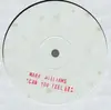 12inch Vinyl Single - Mark Williams - Can You Feel It - promo, stamped