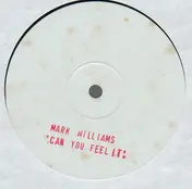 Mark Williams - Can You Feel It