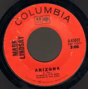 Mark Lindsay - Arizona