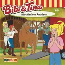 CD - Bibi Und Tina - Folge 65: Abschied Von Amadeus