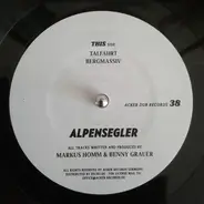 Markus Homm & Benny Grauer - Alpensegler