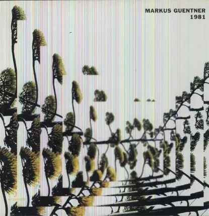 Markus Guentner - 1981