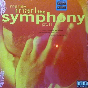 Marley Marl - The Symphony, Pt. II