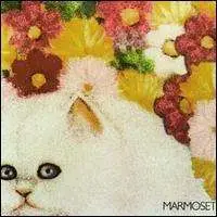 Marmoset - Today It's You