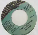 7inch Vinyl Single - Maroon - Angry Revolution