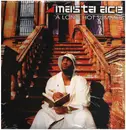 Double LP - Masta Ace - A Long Hot Summer