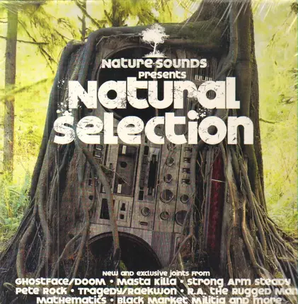 Masta Killa, Strong Arm Steady, Hell Razah a.o. - Natural Selection