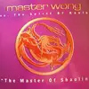 12'' - Master Wong Vs. The Spirit Of Koala - The Master Of Shaolin