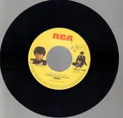 Masahiko Kondo - ヨコハマ・チーク