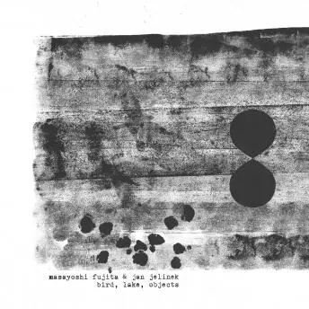 Masayoshi Fujita & Jan Jelinek - Birds, Lake, Objects