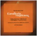MC - Mascagni - Cavalleria Rusticana - Box Set