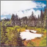 Maserati - Split LP