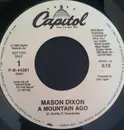 7inch Vinyl Single - Mason Dixon - A Mountain Ago