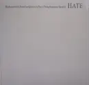 Double LP - Masonna - Hate - Ltd Ed