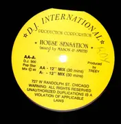 12inch Vinyl Single - Mason & Smith - House Of Fun - RARE