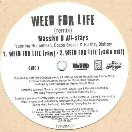 Massive B All Stars feat. Roundhead , Cocoa Brovaz & Blahzay Blahzay - Weed For Life Remix