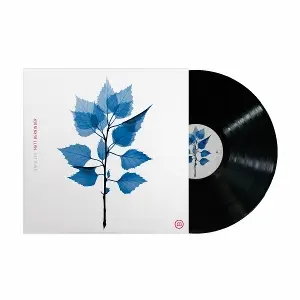 Matt Berninger - Get Sunk
