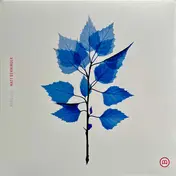 Matt Berninger - Get Sunk