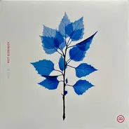 Matt Berninger - Get Sunk