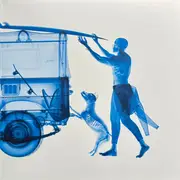 LP - Matt Berninger - Get Sunk