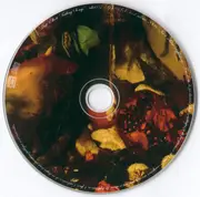 CD - Matt Elliott - Failing Songs - Cardboard Sleeve