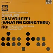 MATT SCHWARTZ - Can You Feel (What I'm Going Thru)