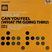 12inch Vinyl Single - Matt Schwartz Presents Sholan - Can You Feel (What I'm Going Thru)