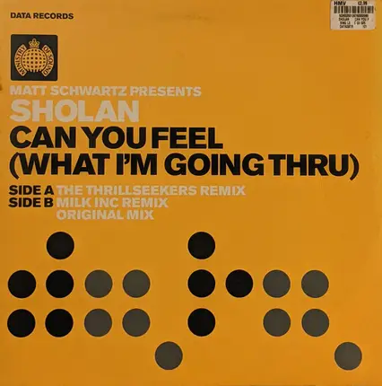 Matt Schwartz Presents Sholan - Can You Feel (What I'm Going Thru)
